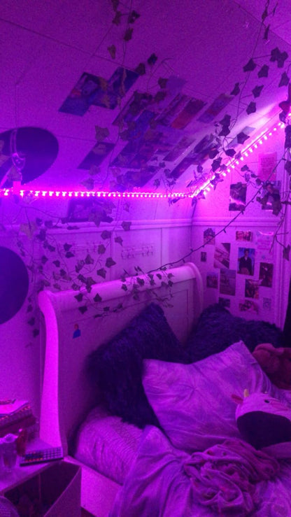 LED Light Strips